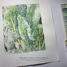 Load image into Gallery viewer, CHARD SWORD, ALIGNMENT TO HIGH MASCULINE, POWER IN UNIQUENESS OF BEING | Small Poster Print | Flower Essence Transmission Collection - Leslie Montana