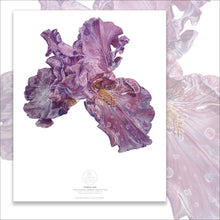 Load image into Gallery viewer, PURPLE IRIS, CREATIVE COURAGE, CLARITY OF VISON, EXPRESSION | Small Poster Print | Flower Essence Transmission Collection