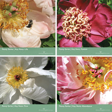 Load image into Gallery viewer, Peony Charm Necklace & Earrings, Power of Breath - Life, Passion, Flow, Abundance | 18 Inches - Leslie Montana