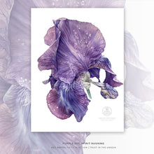 Load image into Gallery viewer, PURPLE IRIS, SPIRIT RUSHING | Small Poster Print | Flower Essence Transmission Collection - Leslie Montana
