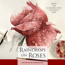 Load image into Gallery viewer, Raindrops on Roses, Watercolor Demo & Lecture, All Levels Welcome - Leslie Montana