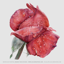 Load image into Gallery viewer, Raindrops on Roses, Watercolor Demo & Lecture, All Levels Welcome - Leslie Montana