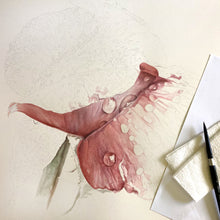 Load image into Gallery viewer, Raindrops on Roses, Watercolor Demo & Lecture, All Levels Welcome - Leslie Montana