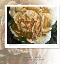 Load image into Gallery viewer, YELLOW ROSE SUPERNOVA, INITIATION, ACTIVATION, NEW PATHWAYS OPENING | Small Poster Print | Flower Essence Transmission Collection - Leslie Montana
