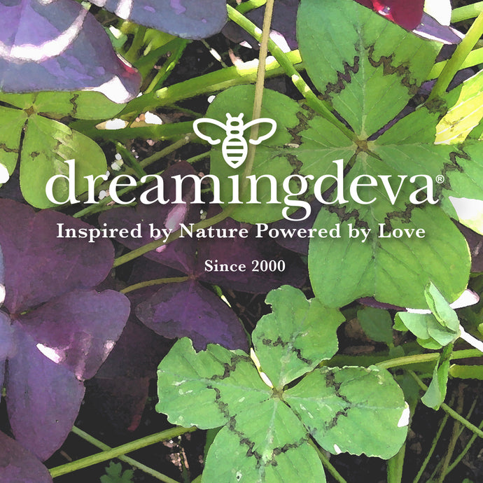 Dreaming Deva, How It Began