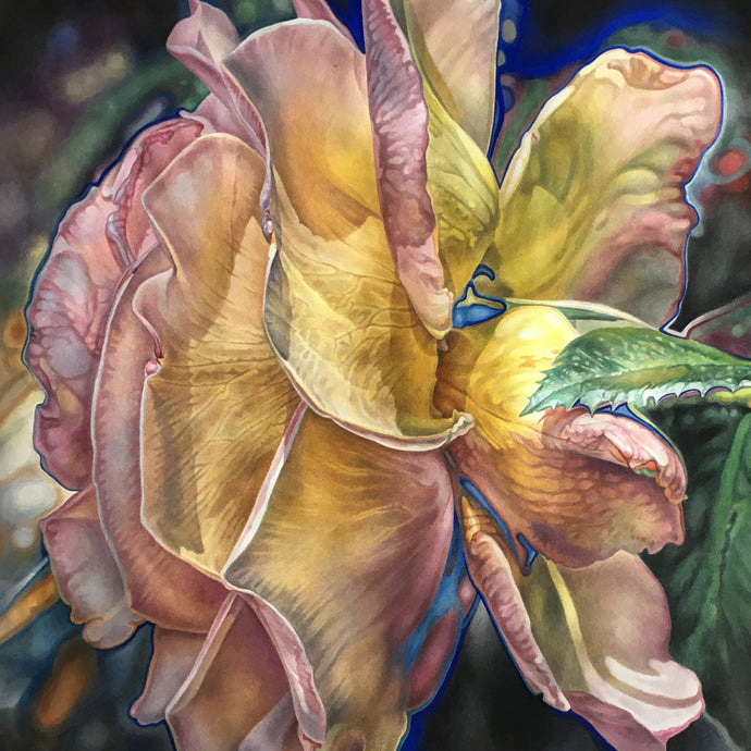 Peace Rose, Strength in Softness, A Story of Survival