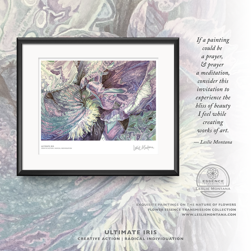 ULTIMATE IRIS, CREATIVITY & INDIVIDUATION | Small Poster Print | Flower Essence Transmission Collection - Leslie Montana