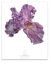 Load image into Gallery viewer, PURPLE IRIS, CREATIVE COURAGE, CLARITY OF VISON, EXPRESSION | Small Poster Print | Flower Essence Transmission Collection
