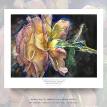 Load image into Gallery viewer, PEACE ROSE, TRANSITION INTO LIGHT | Small Poster Print | Flower Essence Transmission Collection - Leslie Montana

