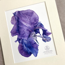 Load image into Gallery viewer, PURPLE IRIS, SPIRIT RUSHING | Small Poster Print | Flower Essence Transmission Collection - Leslie Montana
