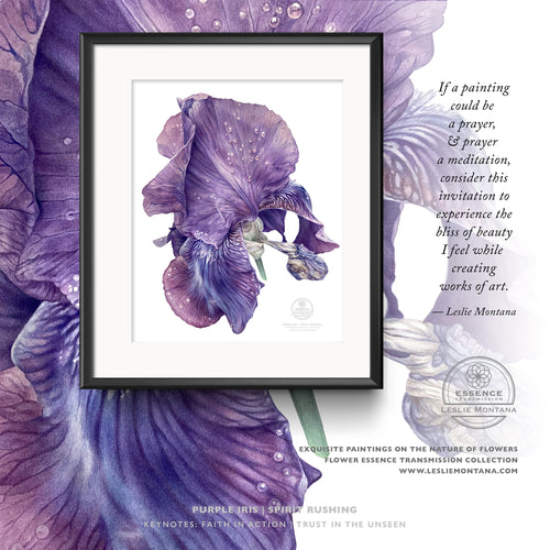 PURPLE IRIS, SPIRIT RUSHING | Small Poster Print | Flower Essence Transmission Collection - Leslie Montana