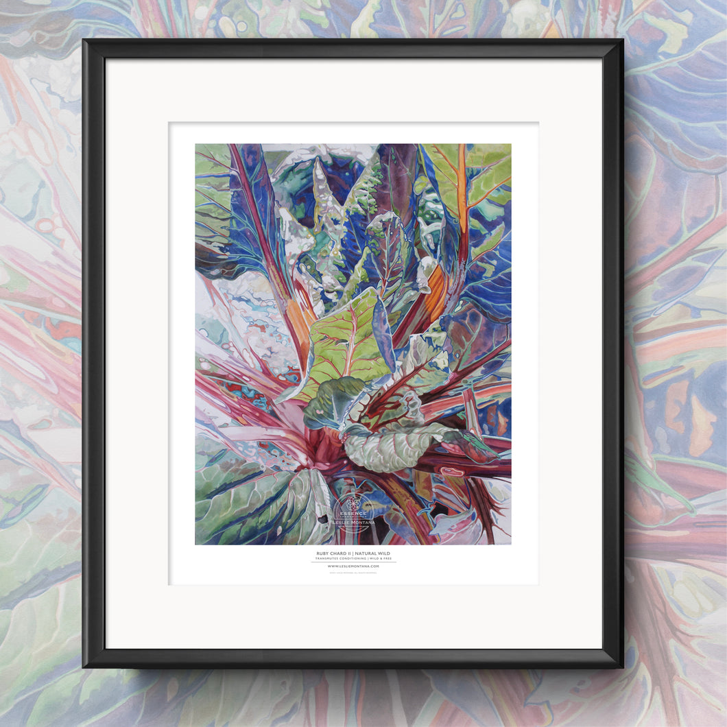 RUBY CHARD TWO | Small Poster Print | Flower Essence Transmission Collection | Watercolor Painting - Leslie Montana