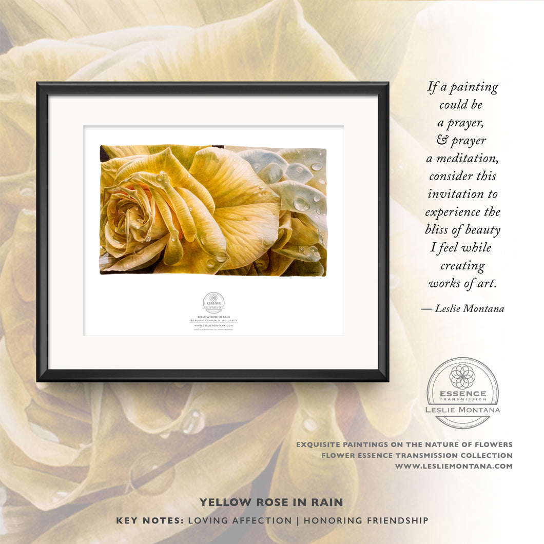 YELLOW ROSE, AFFECTION & FRIENDSHIP | Small Poster Print | Flower Essence Transmission Collection - Leslie Montana